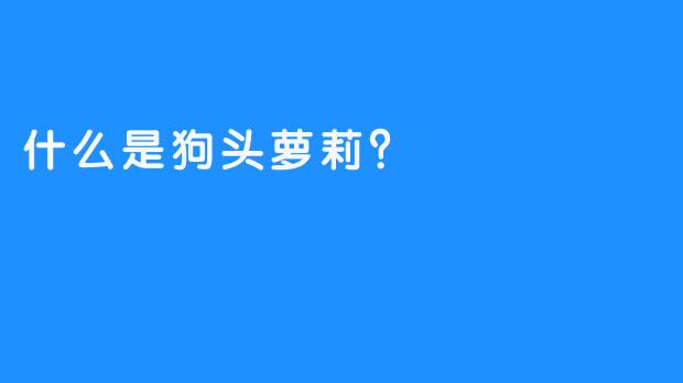 什么是狗头萝莉？
