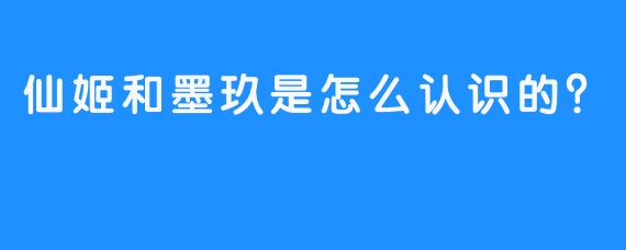仙姬和墨玖是怎么认识的？