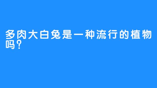 多肉大白兔是一种流行的植物吗？