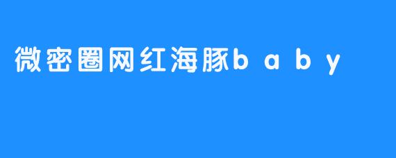 ### 微密圈网红海豚Baby：海洋中的明星