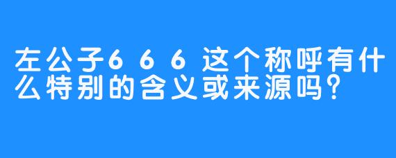左公子666这个称呼有什么特别的含义或来源吗？