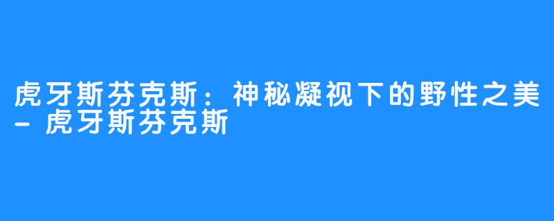 虎牙斯芬克斯:神秘凝视下的野性之美-虎牙斯芬克斯