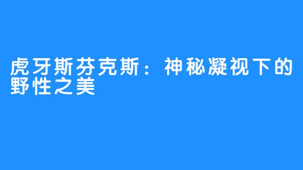 虎牙斯芬克斯:神秘凝视下的野性之美