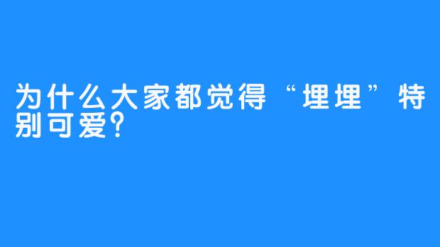 为什么大家都觉得“埋埋”特别可爱？