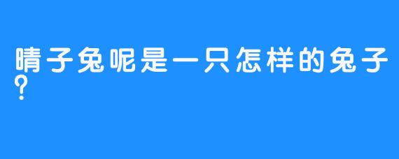 晴子兔呢是一只怎样的兔子？