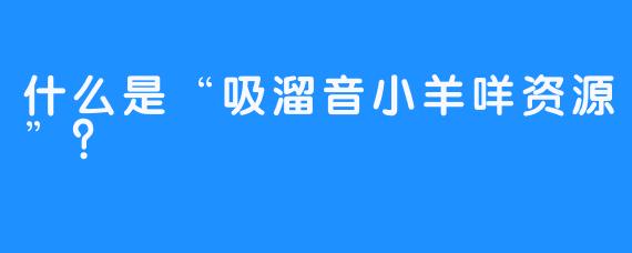 什么是“吸溜音小羊咩资源”？