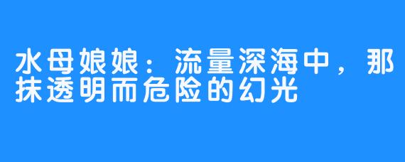 水母娘娘：流量深海中，那抹透明而危险的幻光