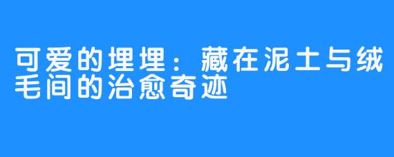 可爱的埋埋：藏在泥土与绒毛间的治愈奇迹